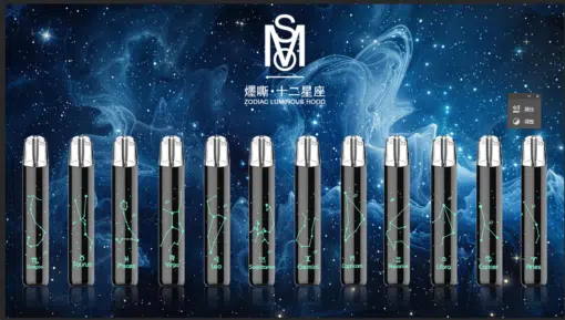 MSO星座主機 爅嘶十二星座煙桿 時尚設計 強大續航與多重安全保護 1 星座主機黑色