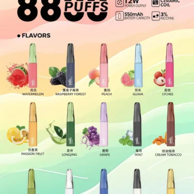 chill 8800 puffs拋棄式電子煙 scaled 1